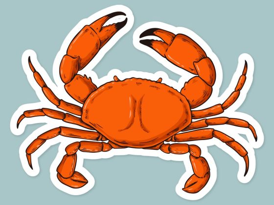 Crab