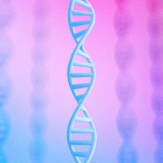 Genome