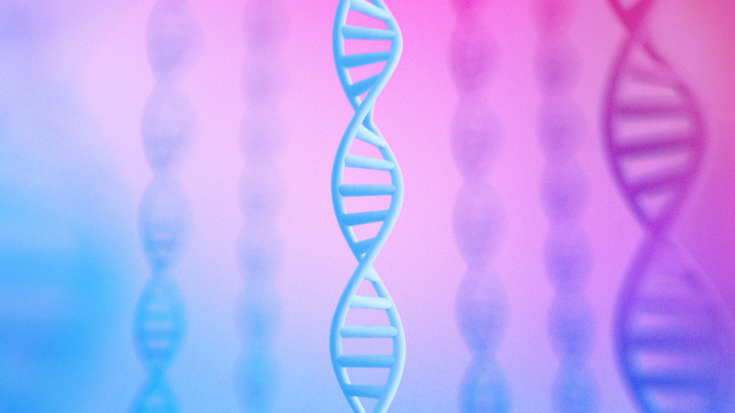 Genome